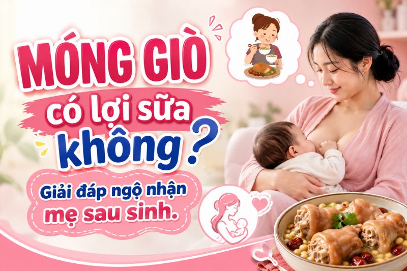 mẹ sau sinh cho có bú ăn móng giò có lợi sữa không?